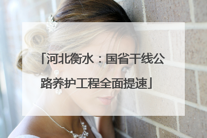 河北衡水：国省干线公路养护工程全面提速