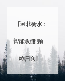 河北衡水：智能收储 颗粒归仓