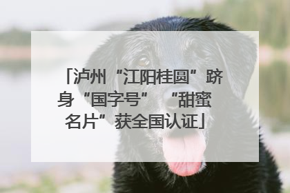 泸州“江阳桂圆”跻身“国字号” “甜蜜名片”获全国认证