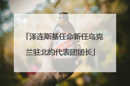 泽连斯基任命新任乌克兰驻北约代表团团长