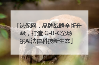 法保网：品牌战略全新升级，打造 G-B-C全场景AI法律科技新生态