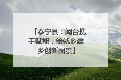 泰宁县：闽台携手赋能，绘就乡建乡创新图景