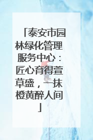 泰安市园林绿化管理服务中心：匠心育得萱草盛，一抹橙黄醉人间