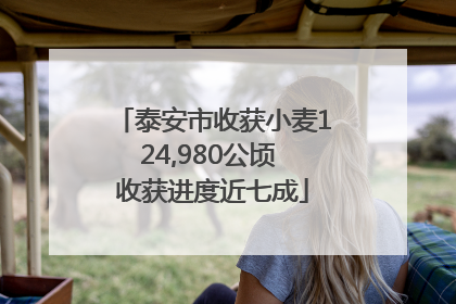 泰安市收获小麦124,980公顷 收获进度近七成