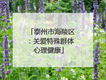 泰州市海陵区：关爱特殊群体心理健康