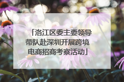 洛江区委主要领导带队赴深圳开展跨境电商招商考察活动