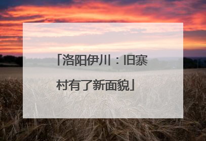 洛阳伊川：旧寨村有了新面貌