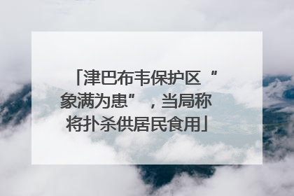 津巴布韦保护区“象满为患”，当局称将扑杀供居民食用