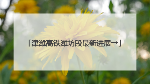 津潍高铁潍坊段最新进展→
