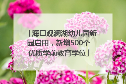 海口观澜湖幼儿园新园启用，新增500个优质学前教育学位