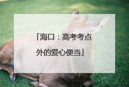 海口：高考考点外的爱心便当