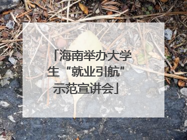 海南举办大学生“就业引航”示范宣讲会