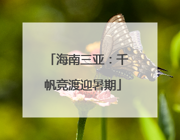 海南三亚：千帆竞渡迎暑期