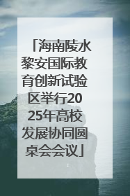 海南陵水黎安国际教育创新试验区举行2025年高校发展协同圆桌会会议