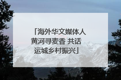 海外华文媒体人黄河寻麦香 共话运城乡村振兴