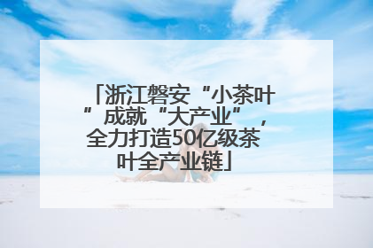 浙江磐安“小茶叶”成就“大产业”，全力打造50亿级茶叶全产业链