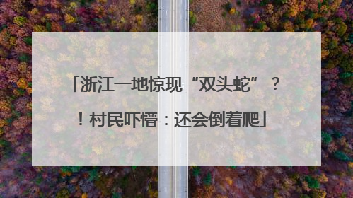 浙江一地惊现“双头蛇”？！村民吓懵：还会倒着爬