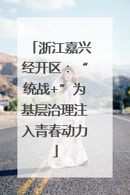浙江嘉兴经开区：“统战+”为基层治理注入青春动力