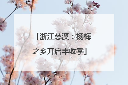 浙江慈溪：杨梅之乡开启丰收季