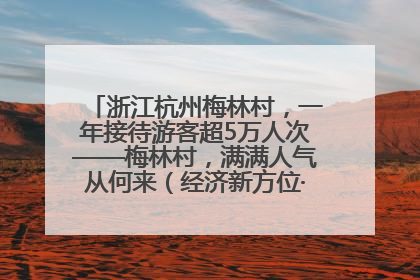 浙江杭州梅林村，一年接待游客超5万人次——梅林村，满满人气从何来（经济新方位·农村消费观察）