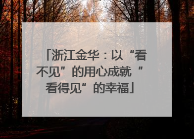 浙江金华：以“看不见”的用心成就“看得见”的幸福
