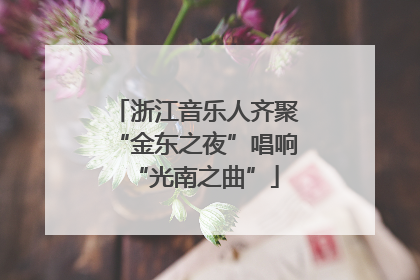 浙江音乐人齐聚“金东之夜”唱响“光南之曲”