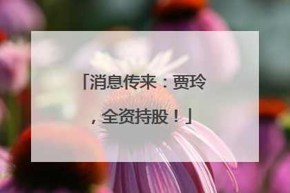 消息传来：贾玲，全资持股！
