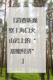消费新观察丨海口火山岩上的“甜蜜经济”