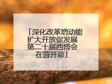 深化改革增动能 扩大开放促发展 第二十届西博会在蓉开幕