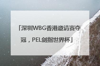 深圳WBG香港邀请赛夺冠，PEL剑指世界杯