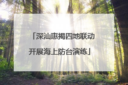 深汕惠揭四地联动开展海上防台演练