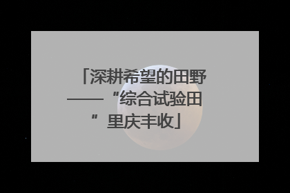 深耕希望的田野——“综合试验田”里庆丰收