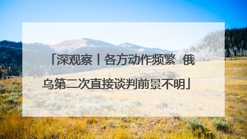 深观察丨各方动作频繁  俄乌第二次直接谈判前景不明