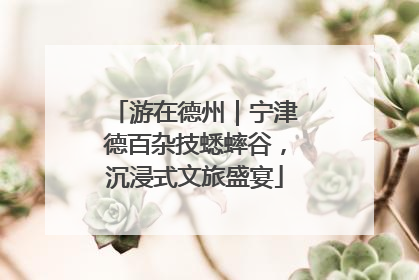 游在德州｜宁津德百杂技蟋蟀谷，沉浸式文旅盛宴