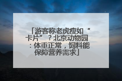 游客称老虎瘦如“卡片”？北京动物园：体重正常，饲料能保障营养需求