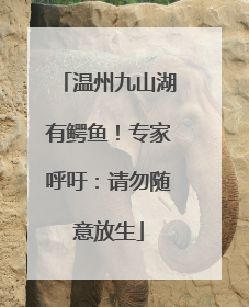 温州九山湖有鳄鱼！专家呼吁：请勿随意放生