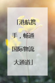 港航携手，畅通国际物流大通道