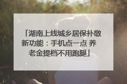 湖南上线城乡居保补缴新功能：手机点一点 养老金提档不用跑腿