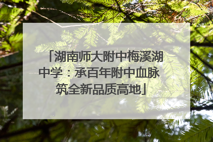 湖南师大附中梅溪湖中学：承百年附中血脉 筑全新品质高地