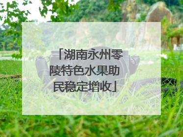 湖南永州零陵特色水果助民稳定增收