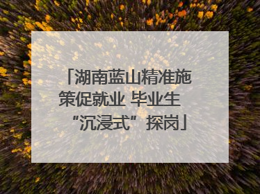 湖南蓝山精准施策促就业 毕业生“沉浸式”探岗