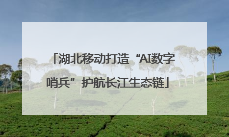 湖北移动打造“AI数字哨兵”护航长江生态链