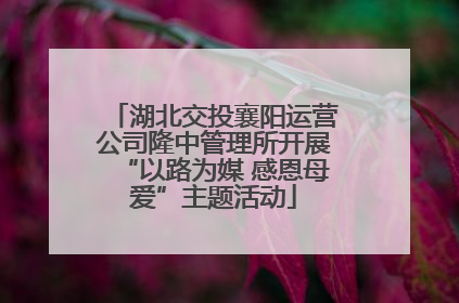 湖北交投襄阳运营公司隆中管理所开展“以路为媒 感恩母爱”主题活动