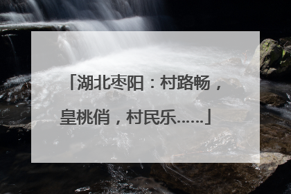 湖北枣阳：村路畅，皇桃俏，村民乐……