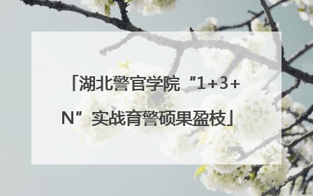 湖北警官学院“1+3+N”实战育警硕果盈枝