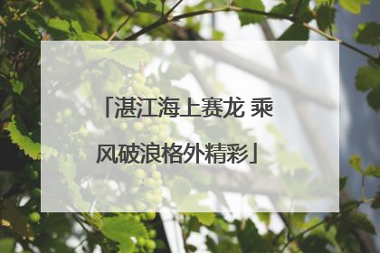 湛江海上赛龙 乘风破浪格外精彩
