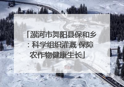 漯河市舞阳县保和乡：科学组织灌溉 保障农作物健康生长