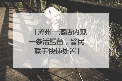 漳州一酒店内现一条活鳄鱼，警民联手快速处置