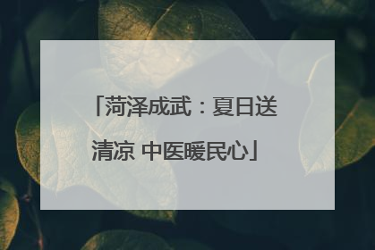 菏泽成武：夏日送清凉 中医暖民心