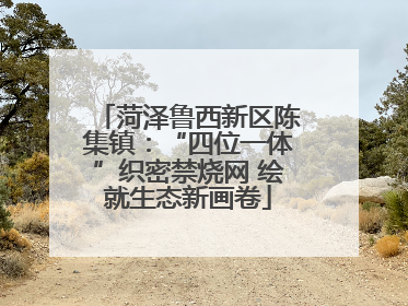 菏泽鲁西新区陈集镇：“四位一体”织密禁烧网 绘就生态新画卷